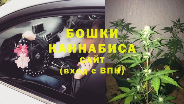 стаф Наволоки