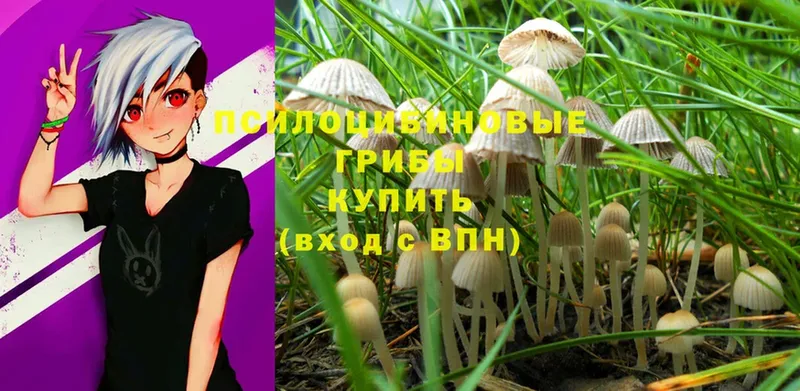 Галлюциногенные грибы MAGIC MUSHROOMS  купить наркотик  Большой Камень 