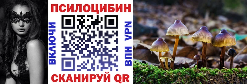 закладки  Большой Камень  Псилоцибиновые грибы прущие грибы 
