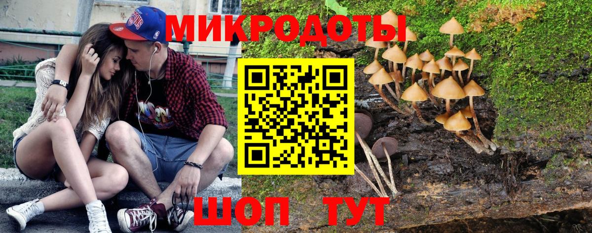 Галлюциногенные грибы прущие грибы Большой Камень