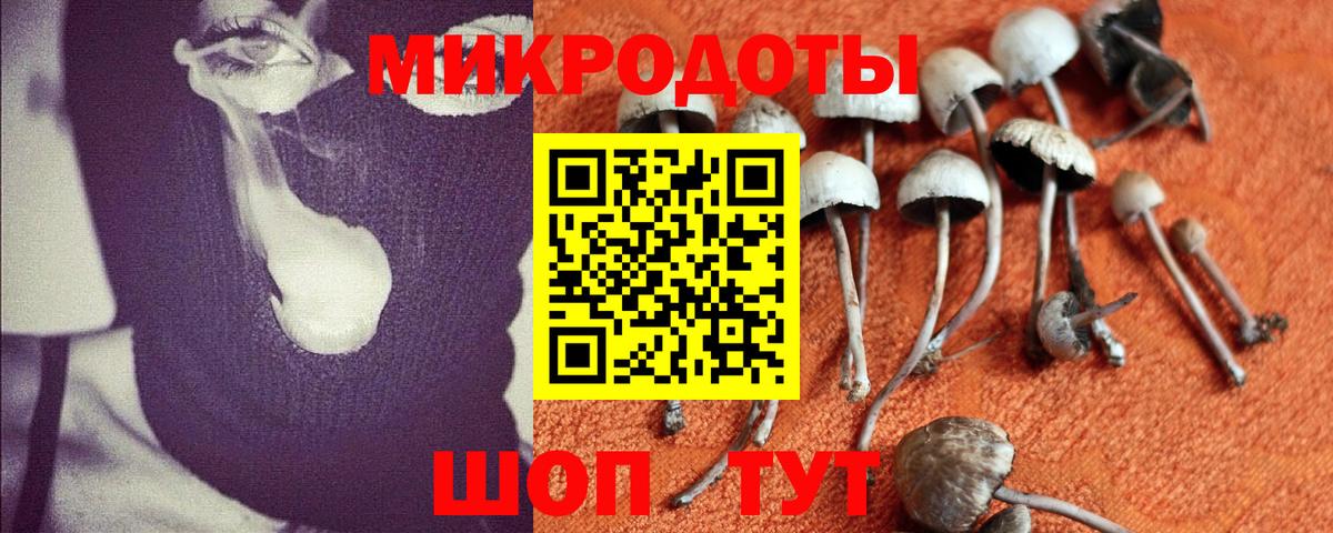 Большой Камень  Галлюциногенные грибы мицелий  Вход с VPN 