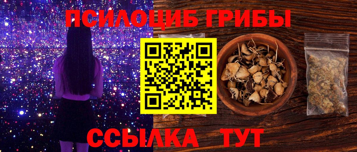 Галлюциногенные грибы Cubensis Большой Камень